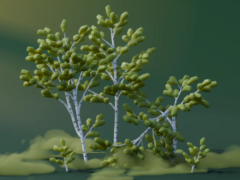 Low Poly Birch Trees 3D Model