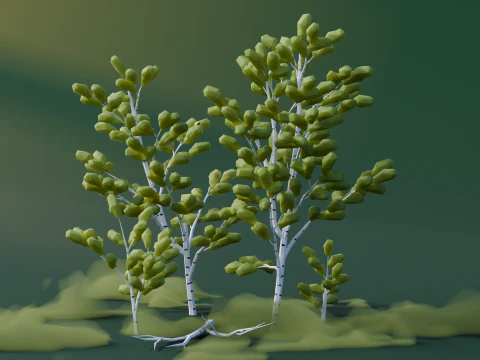 Low Poly Birch Trees 3D Model