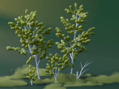 Low Poly Birch Trees 3D Model