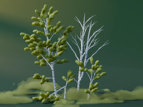 Low Poly Birch Trees 3D Model