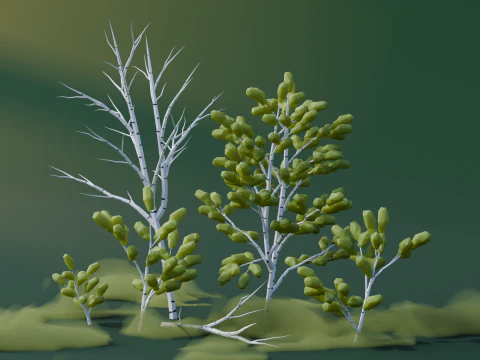 Low Poly Birch Trees 3D Model