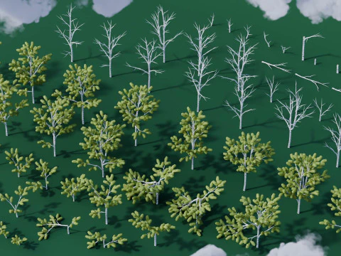Low Poly Birch Trees 3D Model