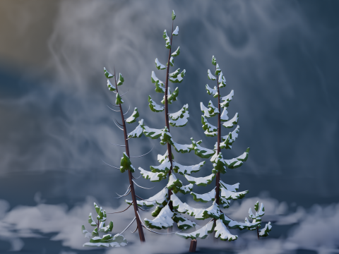 Low Poly Pines 3D मॉडल