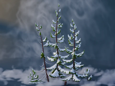 Low Poly Pines 3D Model