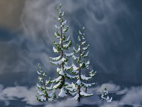 Low Poly Pines 3D Model