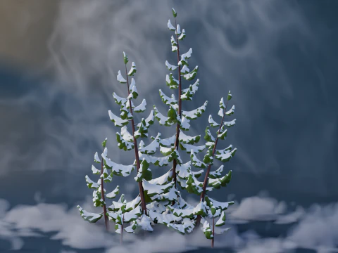 Low Poly Pines 3D Model