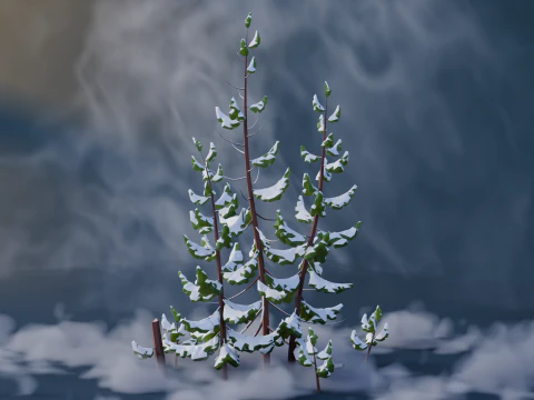 Low Poly Pines 3D Model
