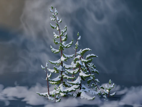 Low Poly Pines 3D Model