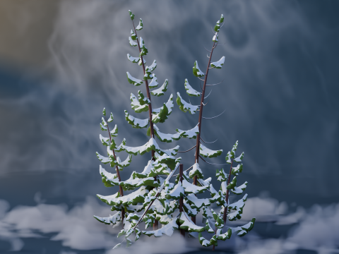 Low Poly Pines 3D मॉडल