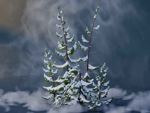 Low Poly Pines 3D Model