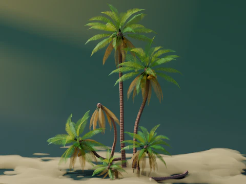 Low Poly Tropical Palms 3D Model