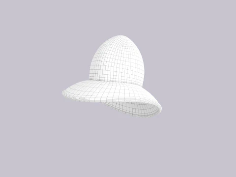 Hat069 3D Model