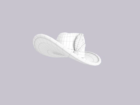 Hat083 3D Model