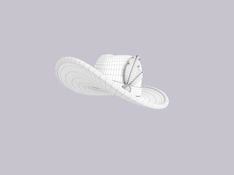 Hat083 3D Model