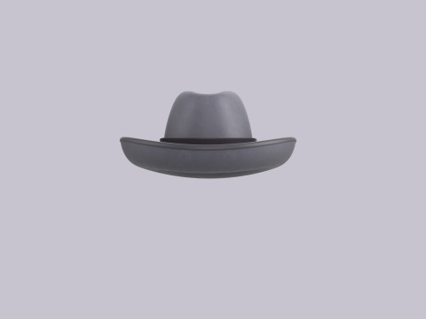 Hat145 3D 模型