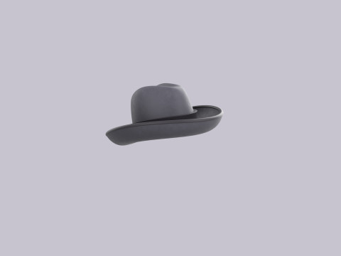 Hat145 3D 模型
