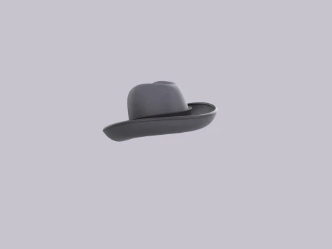 Hat145 3D Model
