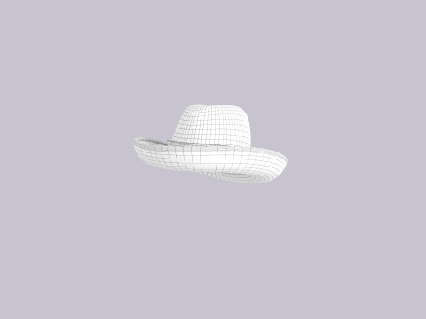 Hat145 3D 模型