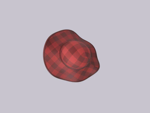 Hat160 3D Model