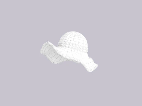 Hat160 3D Model