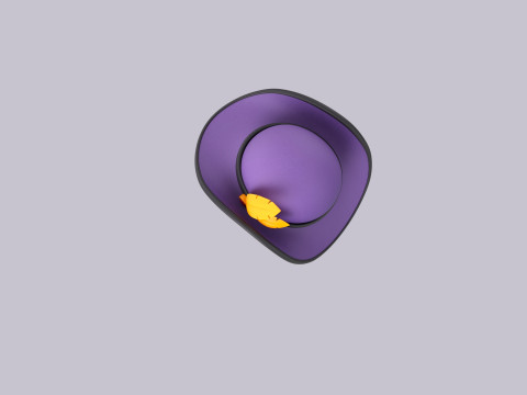 Hat174 3D Model