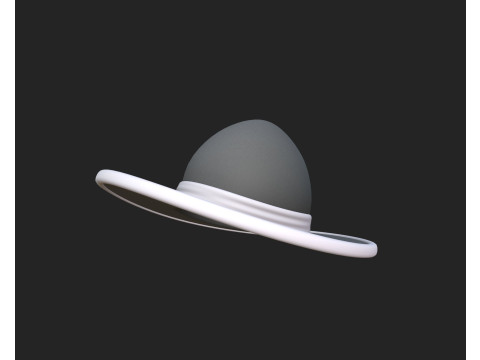 Hat205 3D Model