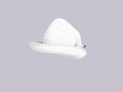 Hat223 Model 3D