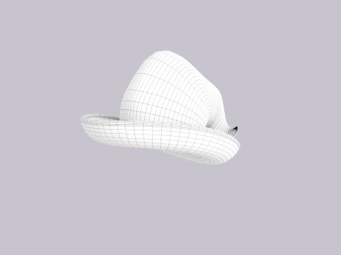 Hat223 3D Model