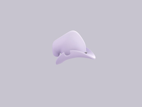 Hat230 3D Model