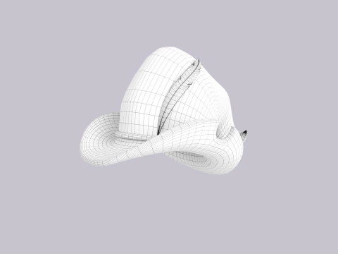 Hat230 3D Model