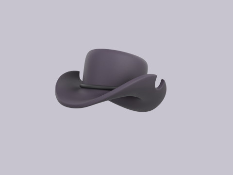 Hat231 Model 3D