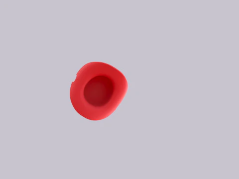 Hat232 3D Model