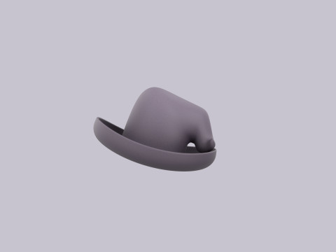 Hat240 Model 3D