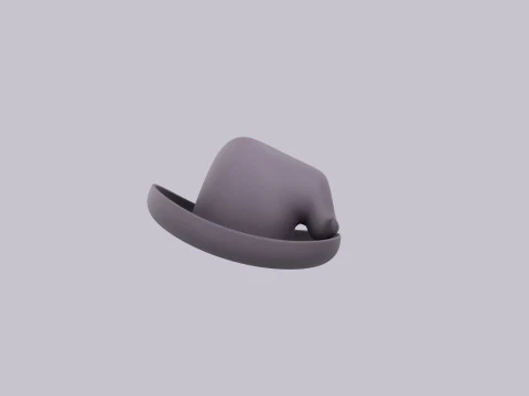 Hat240 3D Model