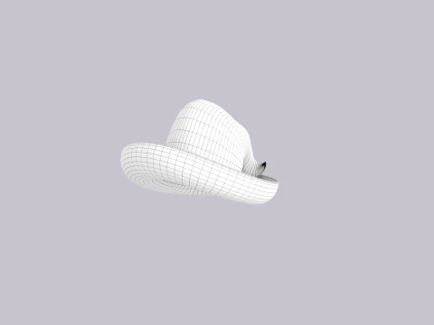Hat240 3D Model