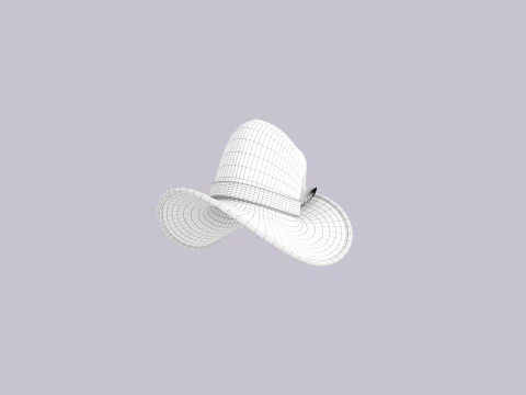 Hat247 3D Model