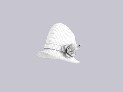 Hat248 3D मॉडल