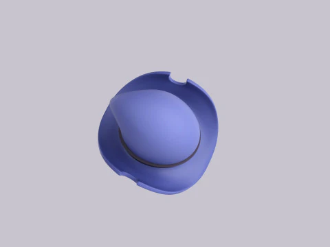 Hat252 3D Model