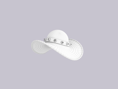 Hat254 3D 모델