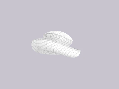Hat256 3D Model