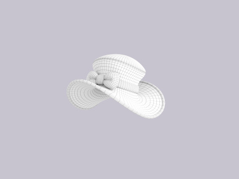 Hat272 Model 3D
