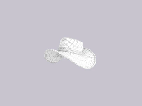 Hat294 3D Model