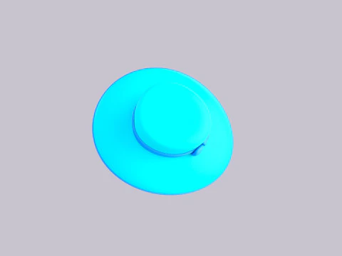 Hat301 3D Model