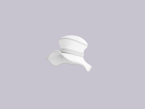 Hat303 Model 3D