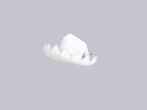 Hat310 3D Model