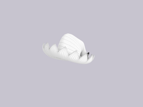 Hat310 Modelo 3D