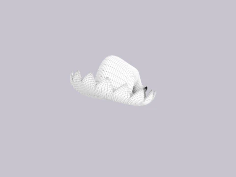 Hat310 3D Model