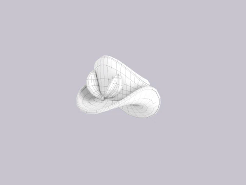 Hat311 3D Model