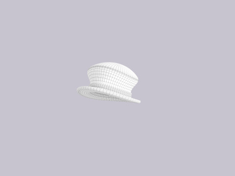 Hat314 3D Model