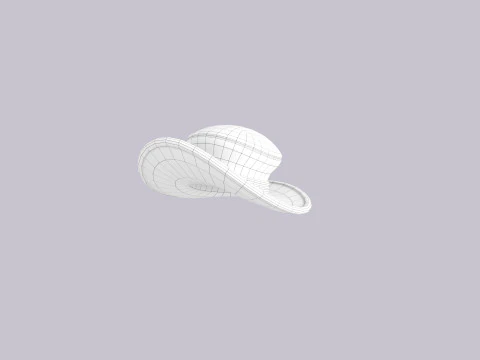 Hat315 3D Model